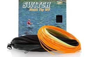 GL Switch Multi Tip WF