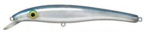 Zam 22 cm #61 Sjunkande