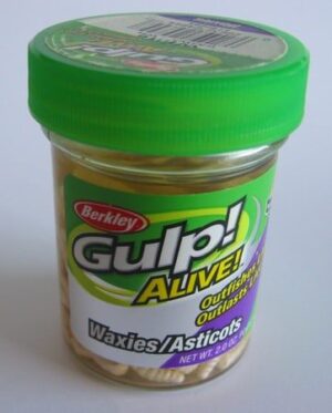 Gulp! Alive!  maggots