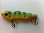 NM dancer Firetiger