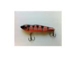 NM dancer Red tiger
