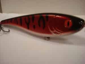 Snake eye redtiger