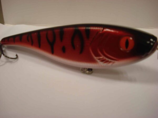 Snake eye redtiger