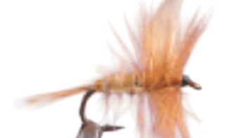 Flugor